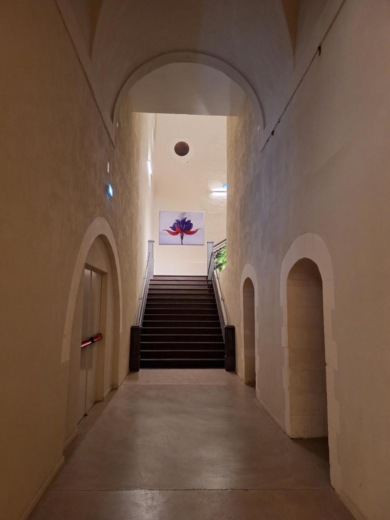 Chiostro Dei Domenicani - Dimora Storica เลชเช ภายนอก รูปภาพ